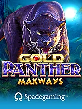 Gold Panther Maxways
