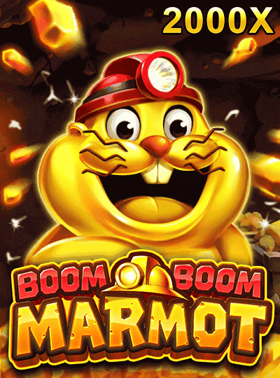 Boom Boom Marmot